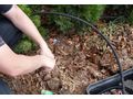 Heckenschnitt Bew�sserungssysteme - Kleing�rten - Bild 6
