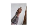 3 wundersch�ne Bartagamen 1 4 red Monster - Bartagamen - Bild 2