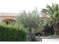 Geniesse Meer Sonne Mallorcas - Haus kaufen - Bild 2